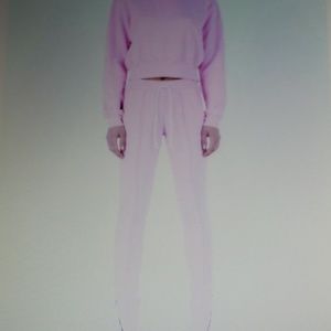 Cotton citizen sweatpants & top